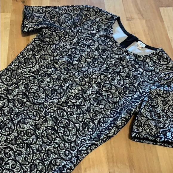 Wilfred mignonne dress lace sz medium black white - Picture 7 of 10